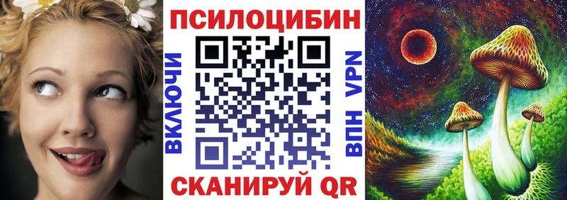 блэк спрут ТОР  где можно купить наркотик  Высоцк  Псилоцибиновые грибы Psilocybine cubensis 